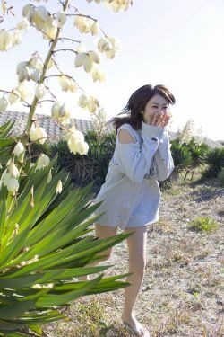 2011电影票房排行榜